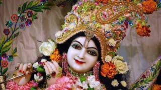 Krishna Janmashtami Special Mantras  Gokulashtami [upl. by Reilamag]