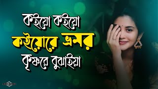 কইয়ো কইয়ো কইয়োরে ভ্রমর কৃষ্ণরে বুঝাইয়া 😭 Bhromor Koi Giya NEW VERSION  Huge Studio  Ayna Ghor [upl. by Lorrie979]