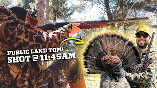 MIDDAY Success Strutting amp Gobbling Michigan Spring Turkey Season 2024 [upl. by Arebma200]