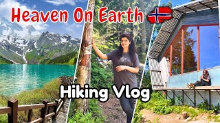 Hiking In Norway Vlog  Free Ki Cherries amp Blue Berries  Exploring Jungle  Life in Norway Vlog [upl. by Katharine]