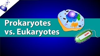 Prokaryotic Vs Eukaryotic Cells [upl. by Rosemare]