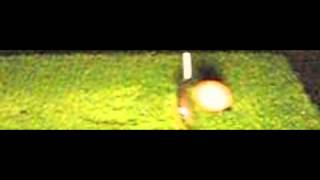 Golf Ball Impact 1000fps Slow Motion [upl. by Atiekram634]