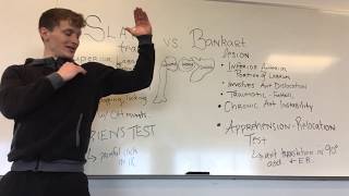 SLAP tear vs Bankart lesion [upl. by Dulcinea]