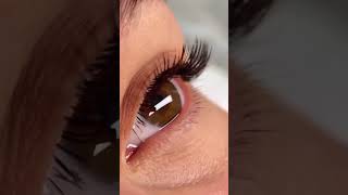 Classic Eyelash Extensions in Los Angeles  Belris  Lash Salon near Beverly Hills [upl. by Htebaras]