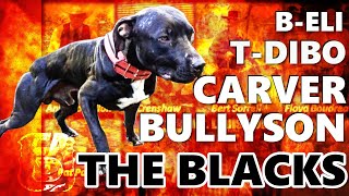 Exploring quotELIquot Dogs and Their Connection to quotThe Blacksquot  Pit Bull Terriers 🕵🏾💥 [upl. by Ellie]