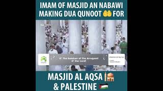 DUA QUNOOT FOR PALESTINE amp AL AQSA BY IMAM OF MASJID NABAWI [upl. by Rimidalb]