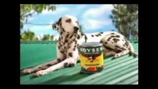 Boysen Roofgard Television Commercial  Dalmatian 1996 [upl. by Ellison]