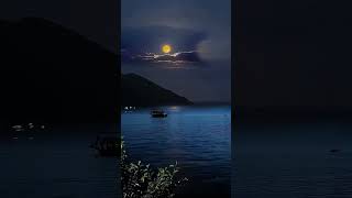 Moonlight relaxing instrumental music mp4 [upl. by Enisaj713]