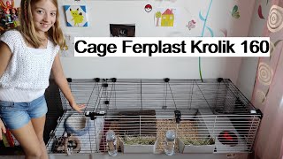 New cage Ferplast Krolik 160 for my guinea pigs Flowy and Aira  from Zoomalia [upl. by Allene988]