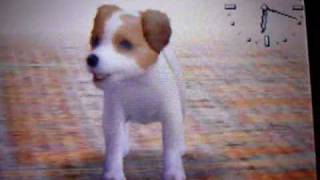 Nintendogs Jack Russell Terrier [upl. by Dougie]