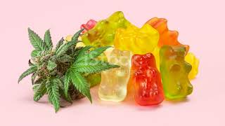 Thera Calm CBD Gummies Reviews Does It Work Critical Information Leaked [upl. by Nnylaf]