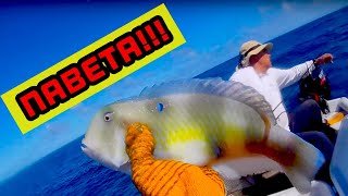 Nabeta and Kona Crab ON FIRE FISHING HAWAII EP 12 [upl. by Collbaith]