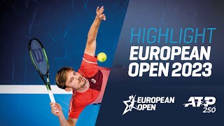 David Goffin vs Q Halys Match Highlights European Open Antwerp October 16 [upl. by Akemit5]