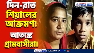 বাড়ি থেকে বেরোতে হচ্ছে লাঠি নিয়ে শিয়ালের উপদ্রবে অতিষ্ঠ গ্রামবাসীরা  North 24 Parganas News [upl. by Esiole693]