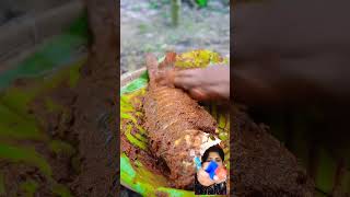 Spice fish fry 😋😋😋 food fish bananaleaffish cooking recipe fishfrymalayalam [upl. by Ymereg]