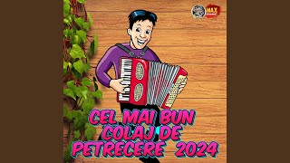 Cea mai Frumoasa Muzica de Petrecere 2024 [upl. by Kaitlin]