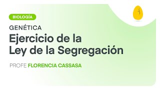 Ejercicio de la Ley de la Segregación  Biología  Genética  V3  Egg Educación [upl. by Roshelle]