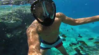 MATEOS ADVENTURES in EGYPT sharmelsheikh snorkeling snorkel [upl. by Dnomyar]