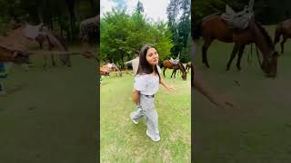 Pahalgam Kashmir trip amitkittojaiswal travel shortvideos kittoamitjaiswal [upl. by Nosimaj]