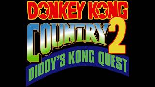 Stickerbush Symphony  Donkey Kong Country 2 Diddys Kong Quest Music Extended [upl. by Onez]