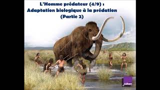 LHomme prédateur 49 Adaptation biologique à la prédation  partie 2 [upl. by Julina]