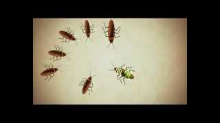 Hit Anti Roach Gel  Tamil TVC [upl. by Lorrie274]