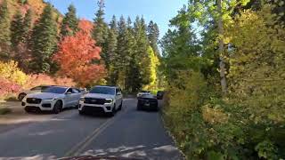 Scenic Autumn Drive Millcreek Canyon from the entrance 4K  Utah [upl. by Erdreid]