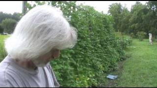 Canning Beans With Mom [upl. by Ashton]