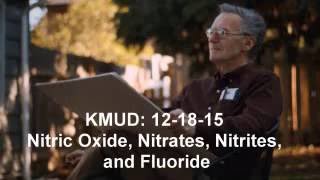 Ray Peat KMUD 121815 Nitric Oxide Nitrates Nitrites and Fluoride Full Interview [upl. by Yrolg]