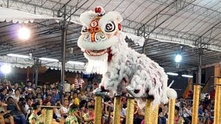 冠軍隊  臺灣基隆長興呂師父龍獅團 2013 International Lion Dance Competition 2013 [upl. by Matthews]