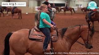 Move Into Pinto World Championship Show 2023 [upl. by Kailey]