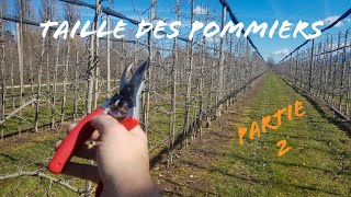 Taille des pommiers en haute densité 2ème partie [upl. by Aubrey]