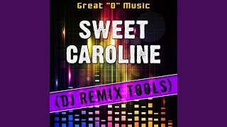 Sweet Caroline Original Mix Remix Tool [upl. by Dnivra]