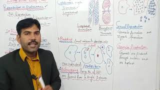 Reproduction in protozoansMiller Harlley Ch8 Lec2 [upl. by Amarette]