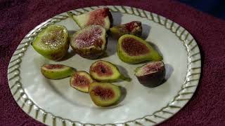 Come Check This Plate of Figs I Just Picked [upl. by Gregoor]