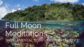 Full Moon Meditation  Interdependence February 2024 [upl. by Yxor]