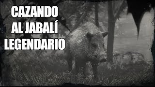 Red Dead Redemption 2  Localización cazando y despellejando un Jabalí Legendario [upl. by Dawes]