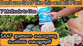 Right Method to Use SAAF Fungicide on Plants  SAAF ശരിയായ രീതിയിൽ ചെടിയിൽഎങ്ങനെ ഉപയോഗിക്കണം [upl. by Aicercul]