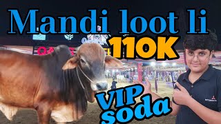 Naseeb ka soda hogaya🐂  Mandi loot li  Finally apna janwar le aye [upl. by Tildie]