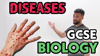 GCSE Biology  Infectious Diseases Rap [upl. by Durgy792]