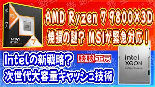 【海外噂と情報】ARyzen 7 9800X3D焼損の謎！MSIが緊急対応Intelの次世代大容量キャッシュ技術 [upl. by Enilrem]