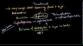 Escherichia coli treatment [upl. by Sink666]