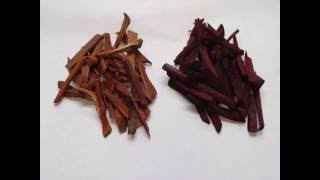 Brazilwood Dye Process [upl. by Rufus772]