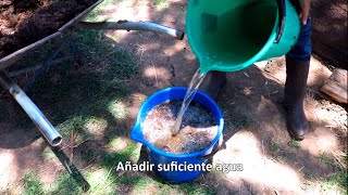 APRENDE A UTILIZAR EL ESTIÉRCOL DE CERDO COMO ABONO PARA LAS PLANTAS [upl. by Grati]