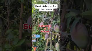 Best tip for Smart amp Scientific Gardening gardening garden 92gardeningtips [upl. by Llenrod]