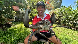 Catching a GIANT mud crab on my doorstep [upl. by Mallorie522]