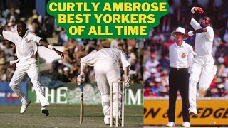 Curtly Ambrose Yorker Compilation  Ambrose Tallest Cricketer [upl. by Feetal782]