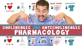 Cholinergic and Anticholinergic Pharmacology for Nursing Students [upl. by Salvadore606]