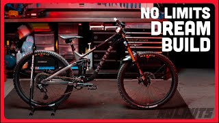 MTB DREAM BUILD  Marin Alpine Trail  No Limits Edition [upl. by Nair]