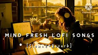 Nonstop Mind Fresh Lofi songs  Slowed And Reverb Song 💞 love Lofi songs  night Lofi songs [upl. by Olin]